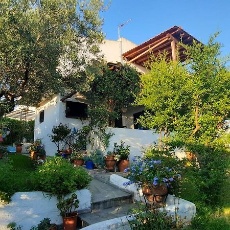 فيلا Sonia'S House With Garden غيراكيني المظهر الخارجي الصورة