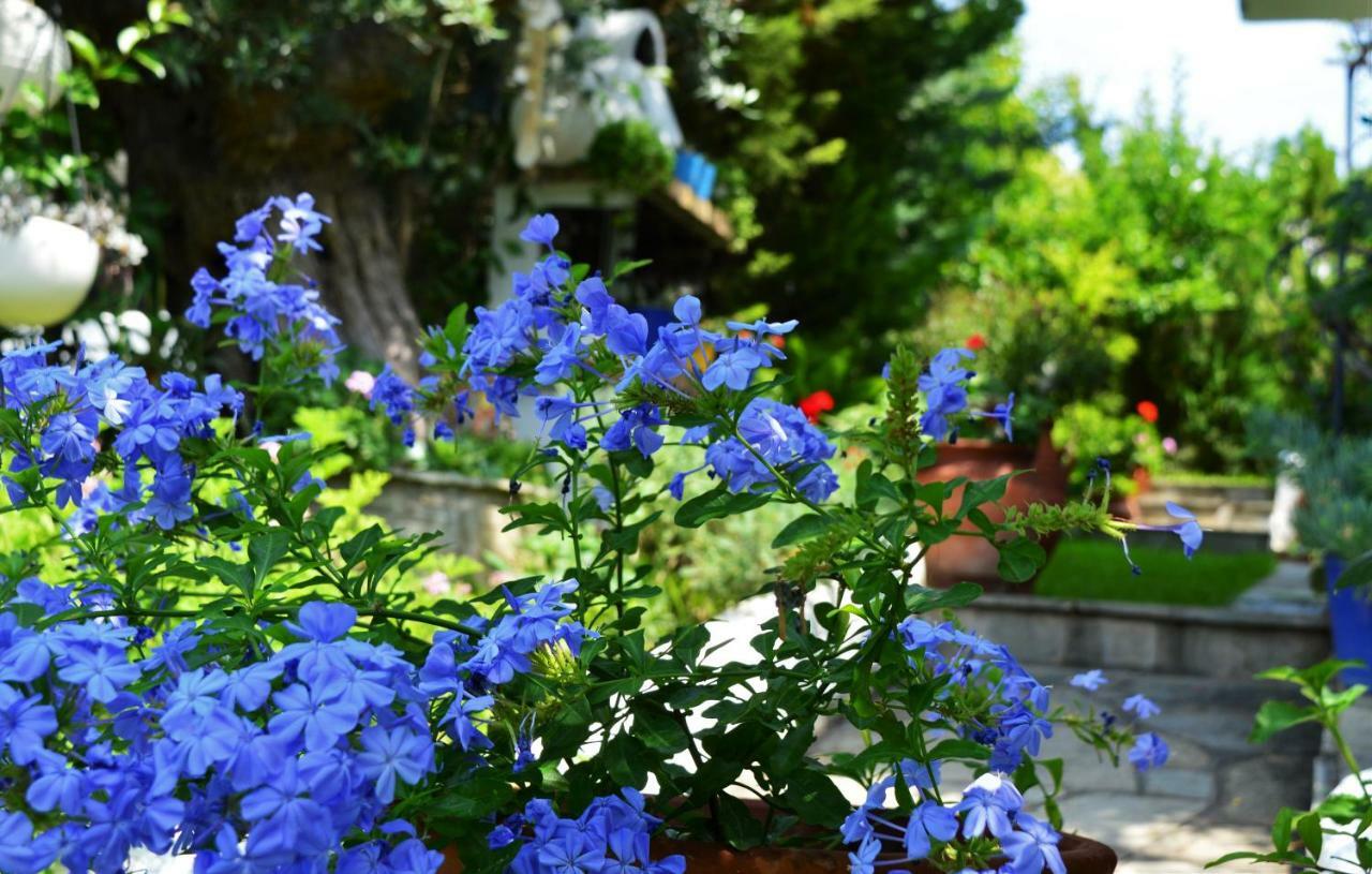فيلا Sonia'S House With Garden غيراكيني المظهر الخارجي الصورة